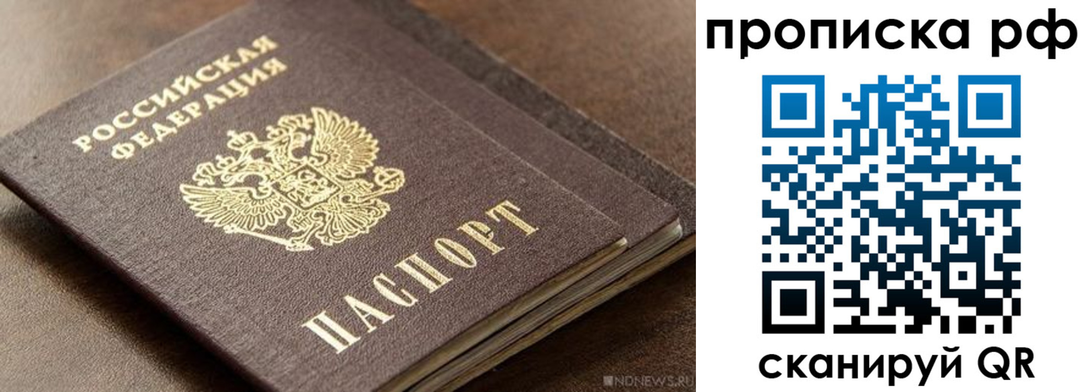 временная регистрация гарантия в Кингисеппе